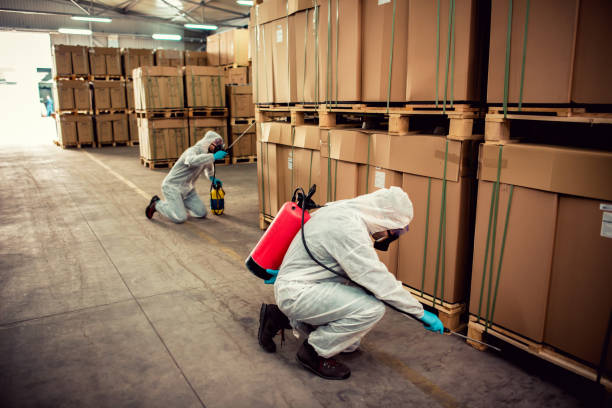 Best Emergency Pest Control  in Barview, OR