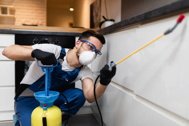 Best Pest Inspection Near Me  in Barview, OR