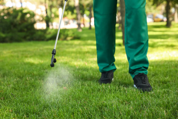 Best Exterminator Services  in Barview, OR