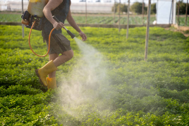 Best Pest Prevention Services  in Barview, OR