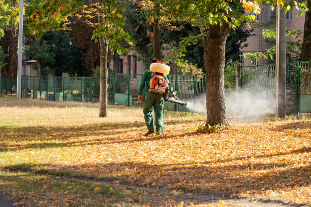 Best Pest Inspection Near Me  in Barview, OR