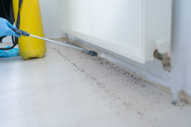 Best Pest Control Treatment  in Barview, OR