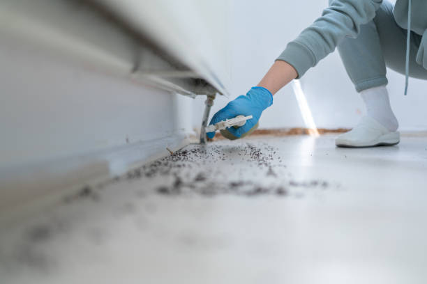 Best Emergency Pest Control  in Barview, OR